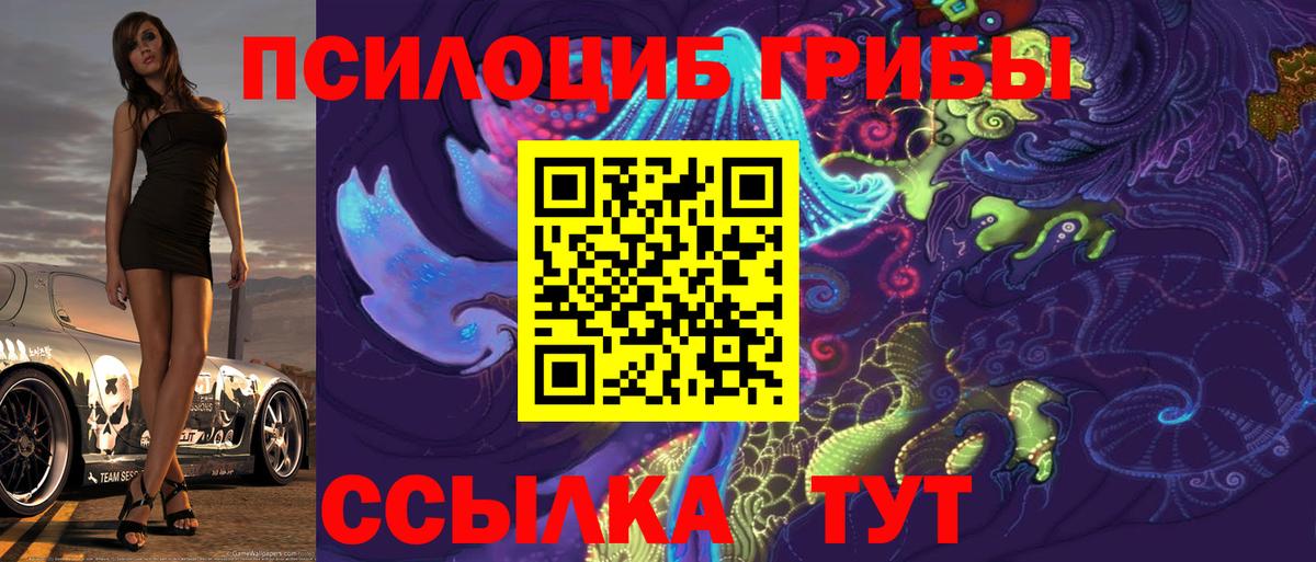 Тосно  где продают   Вход с VPN  Псилоцибиновые грибы Magic Shrooms 
